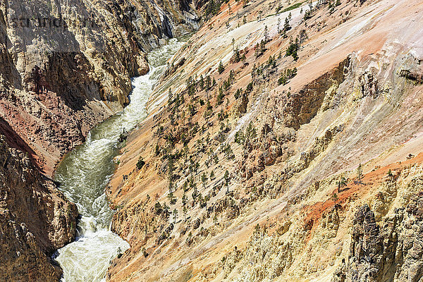 USA  Wyoming  Yellowstone Nationalpark  Blick auf den Yellowstone River  Grand Canyon des Yellowstone