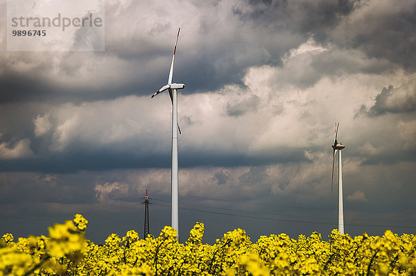 Deutschland  Borschemich  Power Pylon und Windräder im gelben Rapsfeld