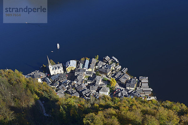 Österreich  Salzkammergut  Hallstatt am Hallstätter See