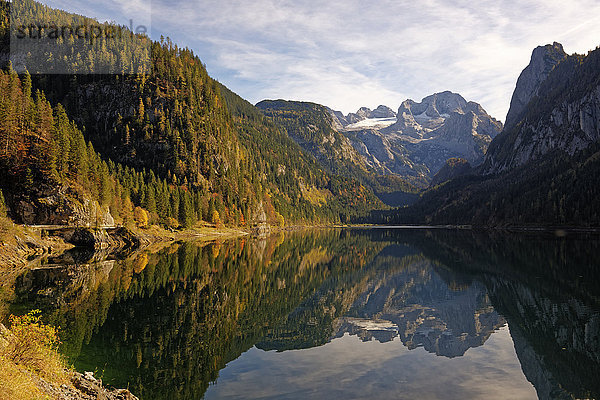 Österreich  Salzkammergut  Vorderer Gosausee mit Dachstein im Hintergrund