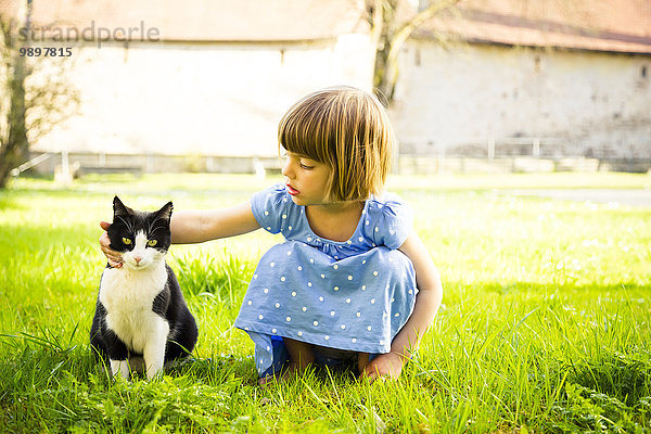 Kleines Mädchen streichelt Katze auf einer Wiese