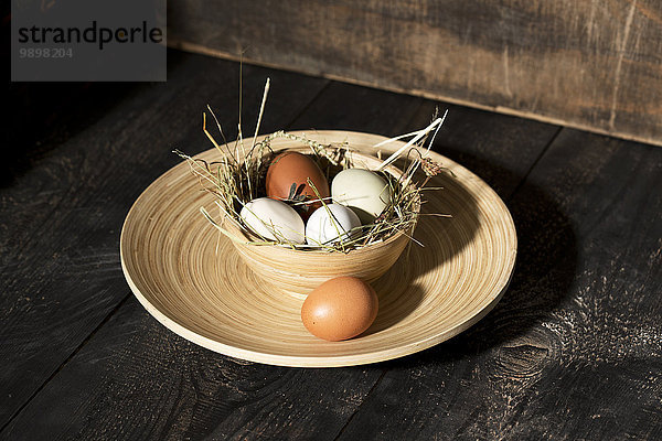 Osternest mit Eiern in Schale auf dunklem Holz