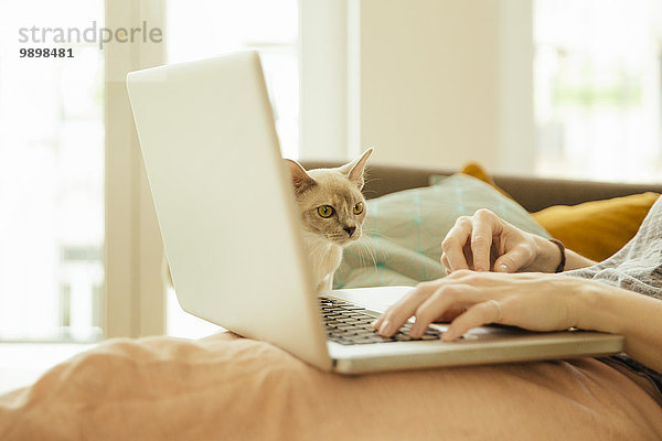 Frau mit burmesischer Katze mit Laptop