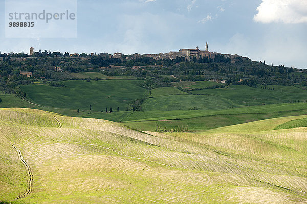 Italien  Toskana  Val d'Orcia  Pienza im Hintergrund der Hügellandschaft