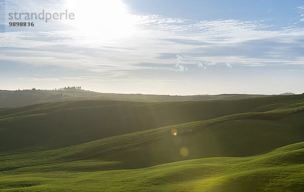 Italien  Toskana  Val d'Orcia  hügelige Landschaft im Gegenlicht