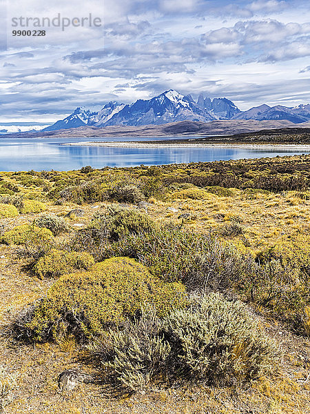 Chile  Cordillera del Paine  Blick auf den Sarmiento See und Torres del Paine im Hintergrund