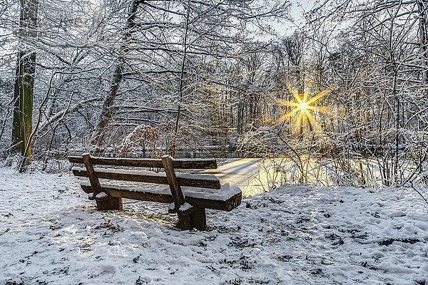 Deutschland  Frankfurt  Stadtpark im Winter