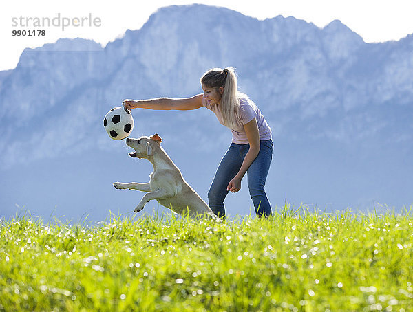 Österreich  Mondsee  Frau spielt mit Labrador Retriever auf Alpweide