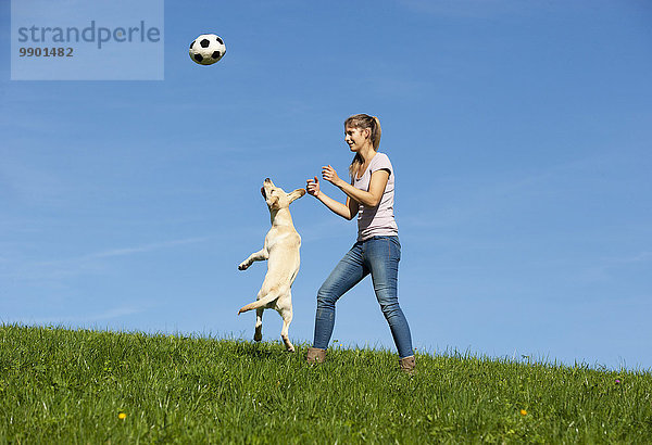 Österreich  Mondsee  Frau spielt mit Labrador Retriever auf einer Wiese