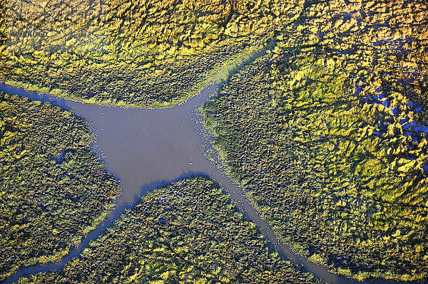 Wasserstelle  Luftaufnahme  Südluangwa-Nationalpark  Sambia  Afrika