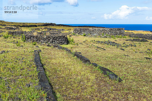 Fundamente elliptischer Häuser  Ahu Tepeu  Nationalpark Rapa Nui  Unesco-Weltkulturerbe  Osterinsel  Chile  Südamerika