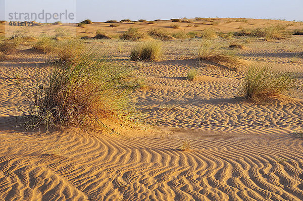 Sandrippen in der Wüste Sahara zwischen Nouadhibou und Atar  Region Dakhlet Nouadhibou  Mauretanien  Afrika