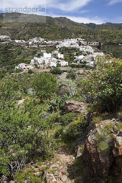 Ausblick auf Tejeda  Gran Canaria  Kanarische Inseln  Spanien  Europa