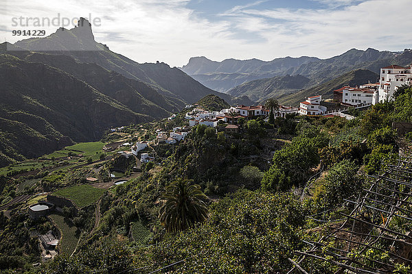 Ausblick auf Tejeda  den Barranco de Tejeda und Roque Bentayga  Gran Canaria  Kanarische Inseln  Spanien  Europa