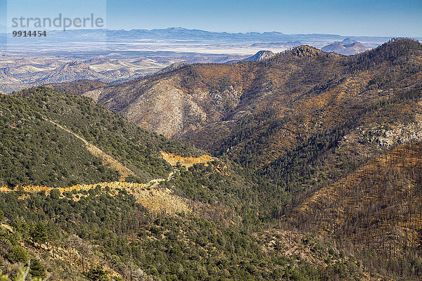 Berglandschaft in Sierra County  hinten Wüstenebene  bei Silver City  New Mexico  USA  Nordamerika