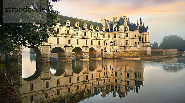Chateau de Chenonceau  Loiretal  Chenonceaux  Indre-et-Loire Département  Frankreich  Europa