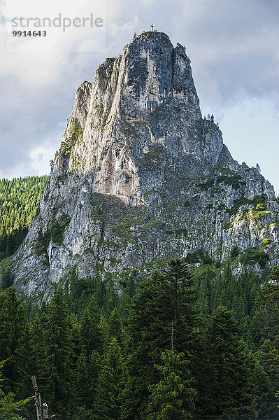 Steiler Felsen  Nationalpark Cheile Bicazului-H??ma?  Karpaten  Rumänien  Europa