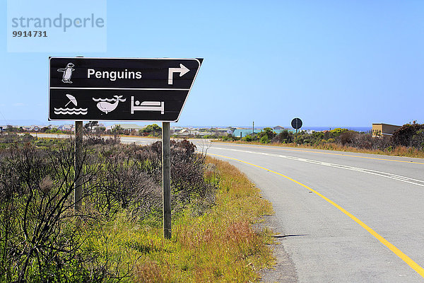 Wegweiser zu Pinguinen und Walbeobachtung  Betty's Bay  Westkap  Südafrika