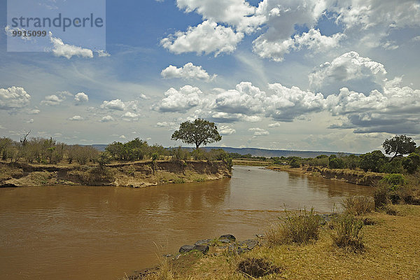 Fluss Mara  Masai Mara National Reserve  Kenia  Afrika