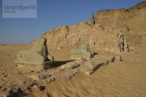 Widder-Sphinxe des Amun-Tempels am Fuße des Gebel Barkal  Karima  Bundesstaat asch-Schamaliyya  Nubien  Sudan  Afrika