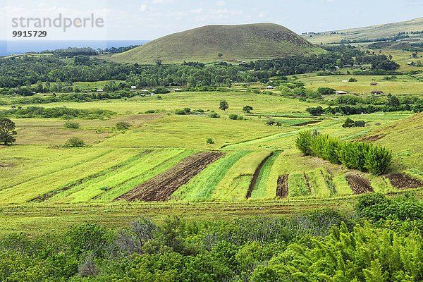 Ausblick über die Osterinsel vom Puna Pau-Krater  Nationalpark Rapa Nui  Osterinsel  Chile  Südamerika