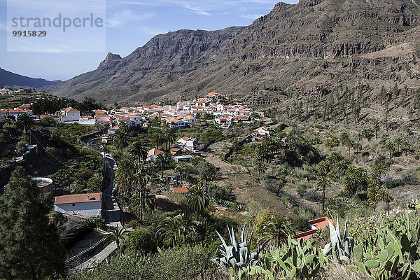Ausblick auf Fataga  Gran Canaria  Kanarische Inseln  Spanien  Europa