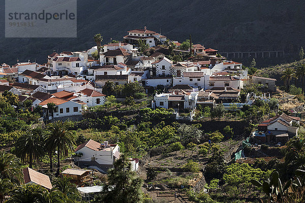 Ausblick auf Fataga  Gran Canaria  Kanarische Inseln  Spanien  Europa