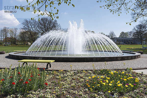 Springbrunnen und Blumenbeet im egapark Erfurt  BUGA 2021  Erfurt  Thüringen  Deutschland  Europa