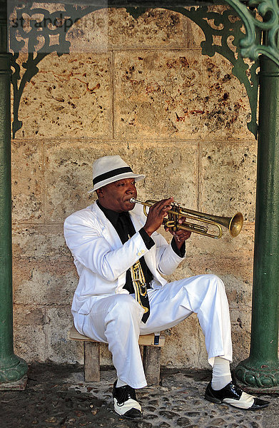 Kubanischer Trompeter spielt in einem kleinen Park  Havanna  Kuba  Nordamerika