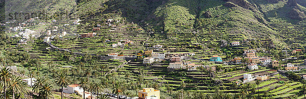 Terrassenfelder im Valle Gran Rey  La Gomera  Kanarische Inseln  Spanien  Europa