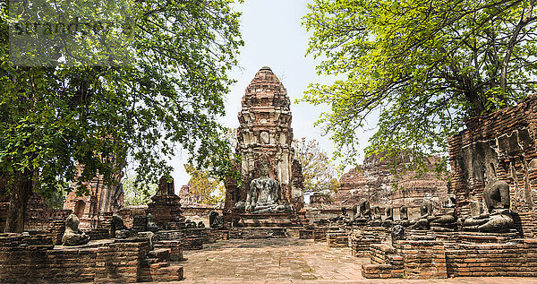 Tempelanlage mit Stupa und großem Buddha  Wat Mahathat  Ayutthaya  Chang Wat Phra Nakhon Si Ayutthaya  Thailand  Asien