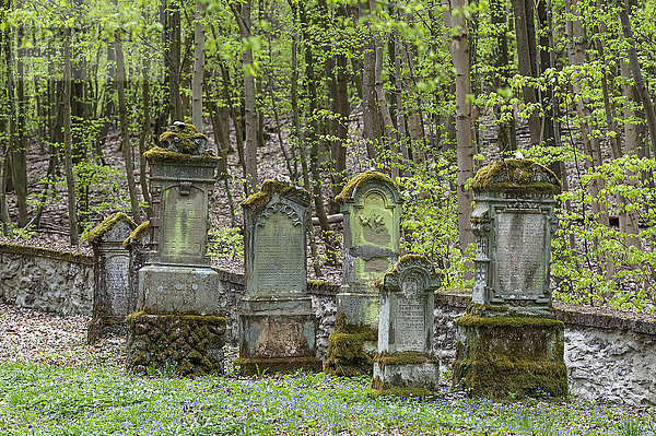 Grabsteine auf einem Judenfriedhof  im 16 Jhd. angelegt  letzte Beisetzung 1900  Heiligenstadt  Oberfranken  Bayern  Deutschland  Europa