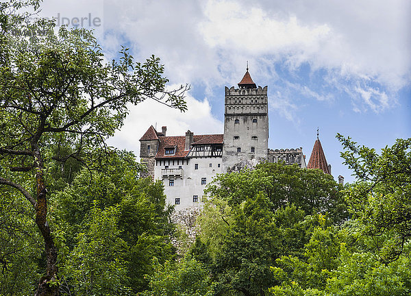 Schloss Bran  Draculaschloss  Bran  Siebenbürgen  Rumänien  Europa