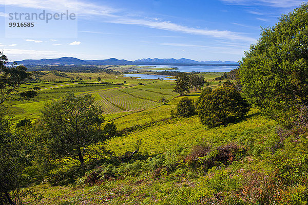 Landschaft an der Ostküste  Tasmanien