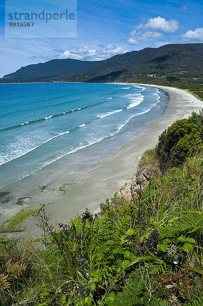 Ausblick über die Pirate Bay  Tasmanische Halbinsel  Tasmanien