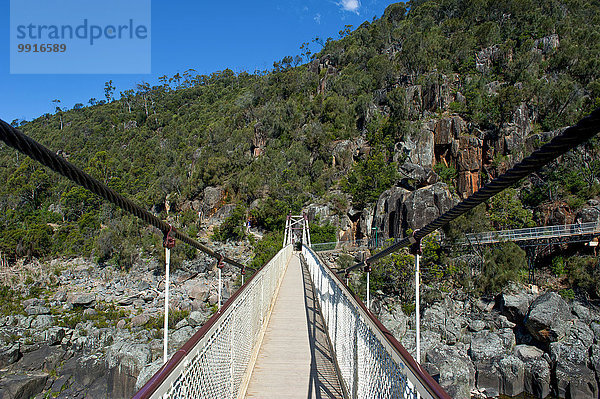 Hängebrücke über die Schlucht Cataract Gorge  Launceston  Tasmanien  Australien  Ozeanien