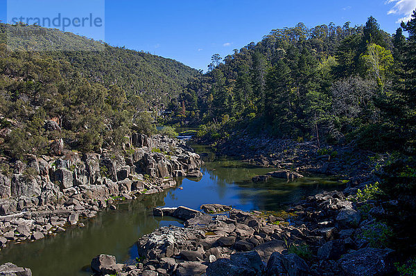 Die Schlucht Cataract Gorge  Launceston  Tasmanien  Australien  Ozeanien