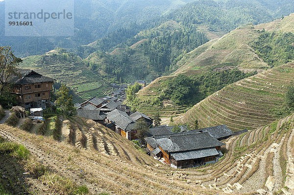 Longsheng Reisterrassen  Dorf Zhongliu  Ping'an  bei Guilin  Autonomes Gebiet Guangxi  China  Asien