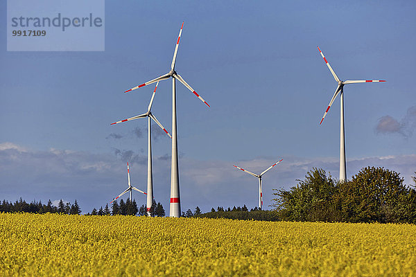Windräder im Hunsrück bei Kappel  Rheinland-Pfalz  Deutschland  Europa