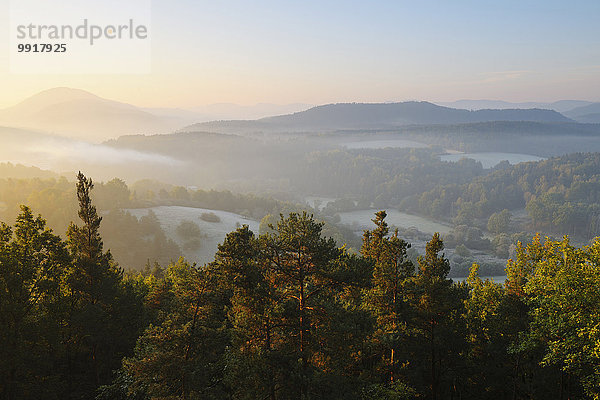 Morgen Landschaft Herbst Deutschland Rheinland-Pfalz