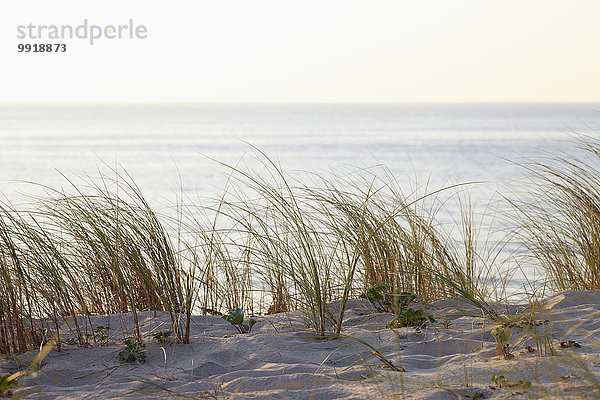 Frankreich Wärme Sonnenlicht Düne Gras Arcachon Aquitanien