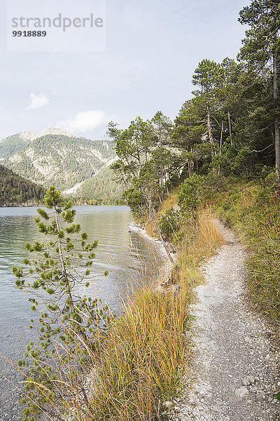 nebeneinander neben Seite an Seite folgen Landschaft See Herbst Tirol Österreich