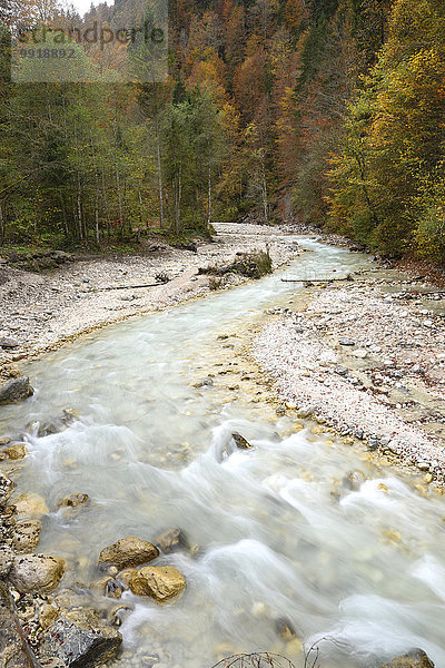 Landschaftlich schön landschaftlich reizvoll Herbst Ansicht Schlucht Bayern Deutschland