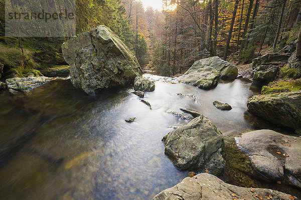 Landschaftlich schön landschaftlich reizvoll Fluss Herbst Ansicht Bayern Deutschland Nationalpark Bayerischer Wald