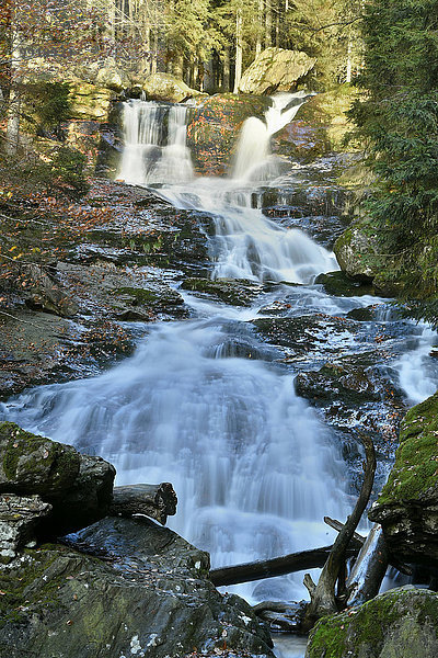 Landschaftlich schön landschaftlich reizvoll Herbst Wasserfall Ansicht Bayern Deutschland Nationalpark Bayerischer Wald