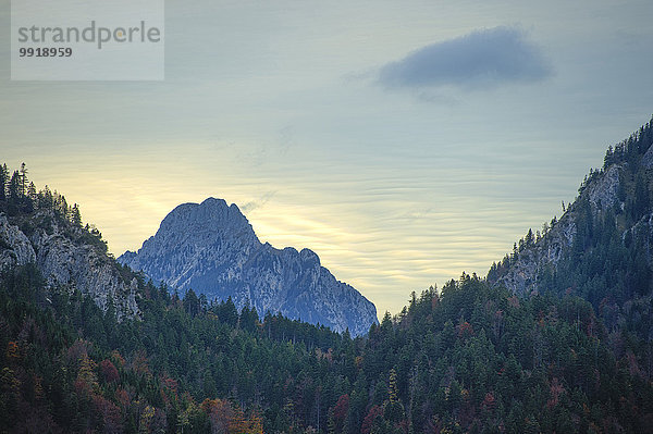 Landschaftlich schön landschaftlich reizvoll Berg Tag Wolke Sonnenuntergang Herbst Ansicht Tirol Österreich