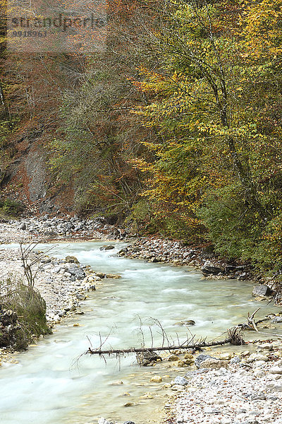 Landschaftlich schön landschaftlich reizvoll Herbst Ansicht Schlucht Deutschland Oberbayern