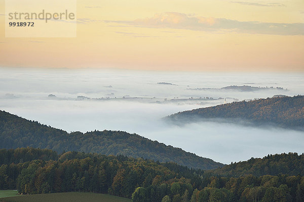 Landschaftlich schön landschaftlich reizvoll Morgen Hügel Nebel früh Herbst Draufsicht Bayern Deutschland Nationalpark Bayerischer Wald
