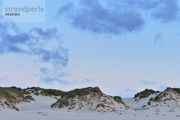 Sommer Düne Abenddämmerung Deutschland Niedersachsen Norderney Nordsee