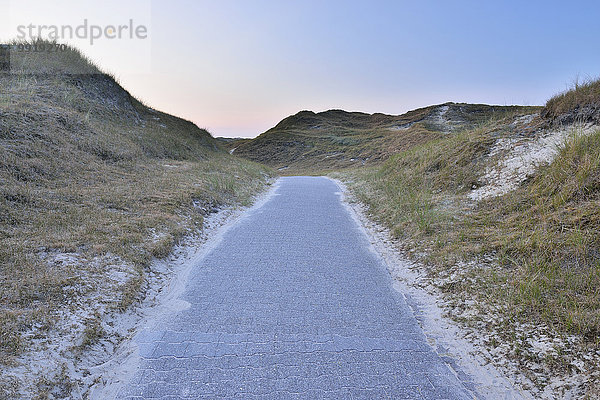 Sommer Weg Düne Abenddämmerung Deutschland Niedersachsen Norderney Nordsee